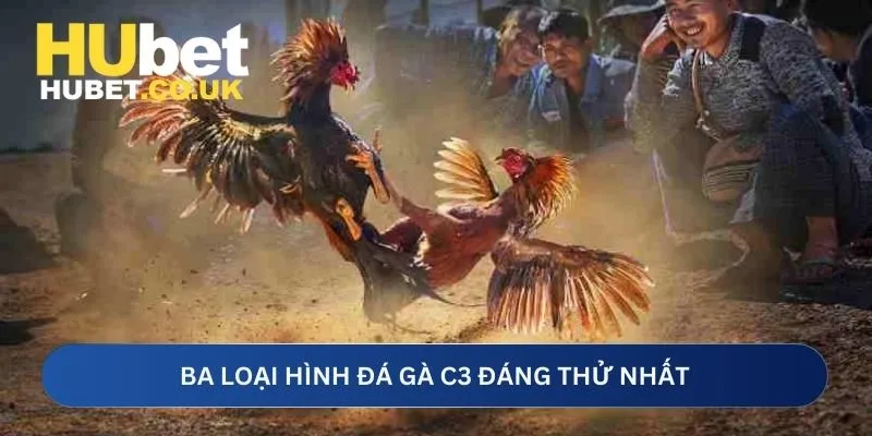 Ba loại hình đá gà C3 đáng thử nhất