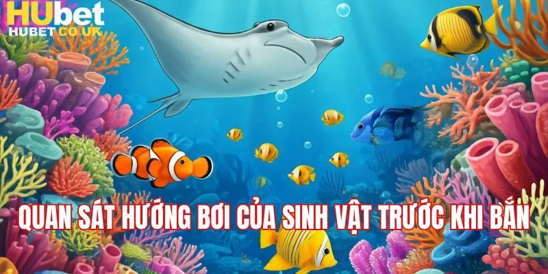Quan sát hướng bơi của sinh vật trước khi bắn