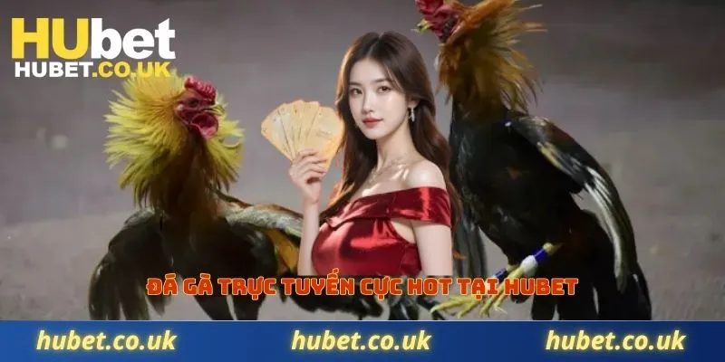 Đá gà trực tuyến cực hot tại Hubet