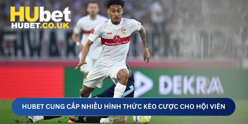 Hubet cung cấp nhiều hình thức kèo cược cho hội viên