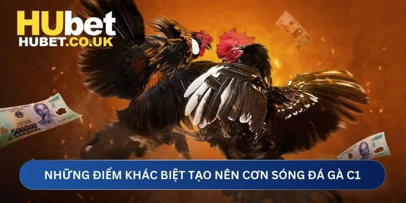 Những điểm khác biệt tạo nên cơn sóng đá gà C1