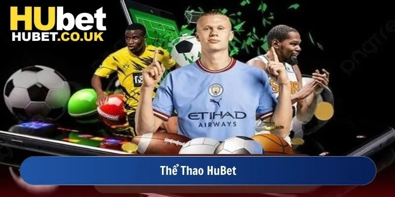 Khái quát về sảnh thể thao Hubet